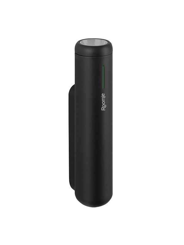 Torch 1